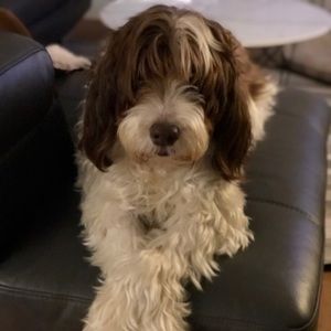 Meet your Posher, Franca